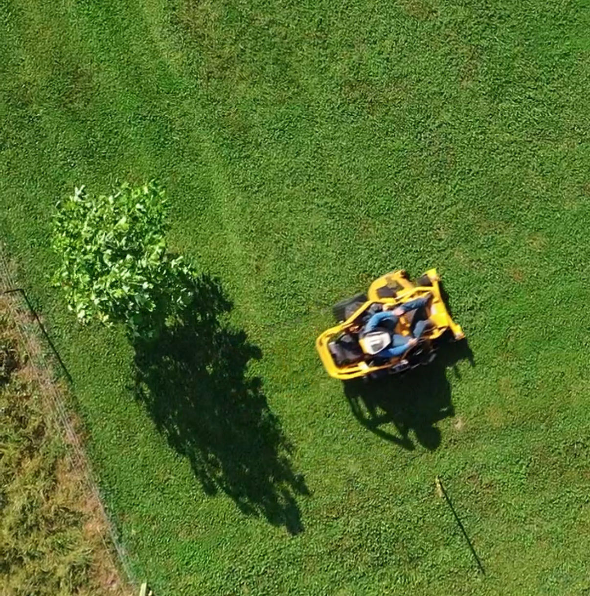 The Shocking Truth About Lawn Mower Maintenance and How to Dramatically Cut the Cost
