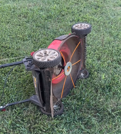 The Lawn Care Upgrade That Secretly Makes Your Grass Healthier Every Single Cut